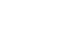 Rex Novus