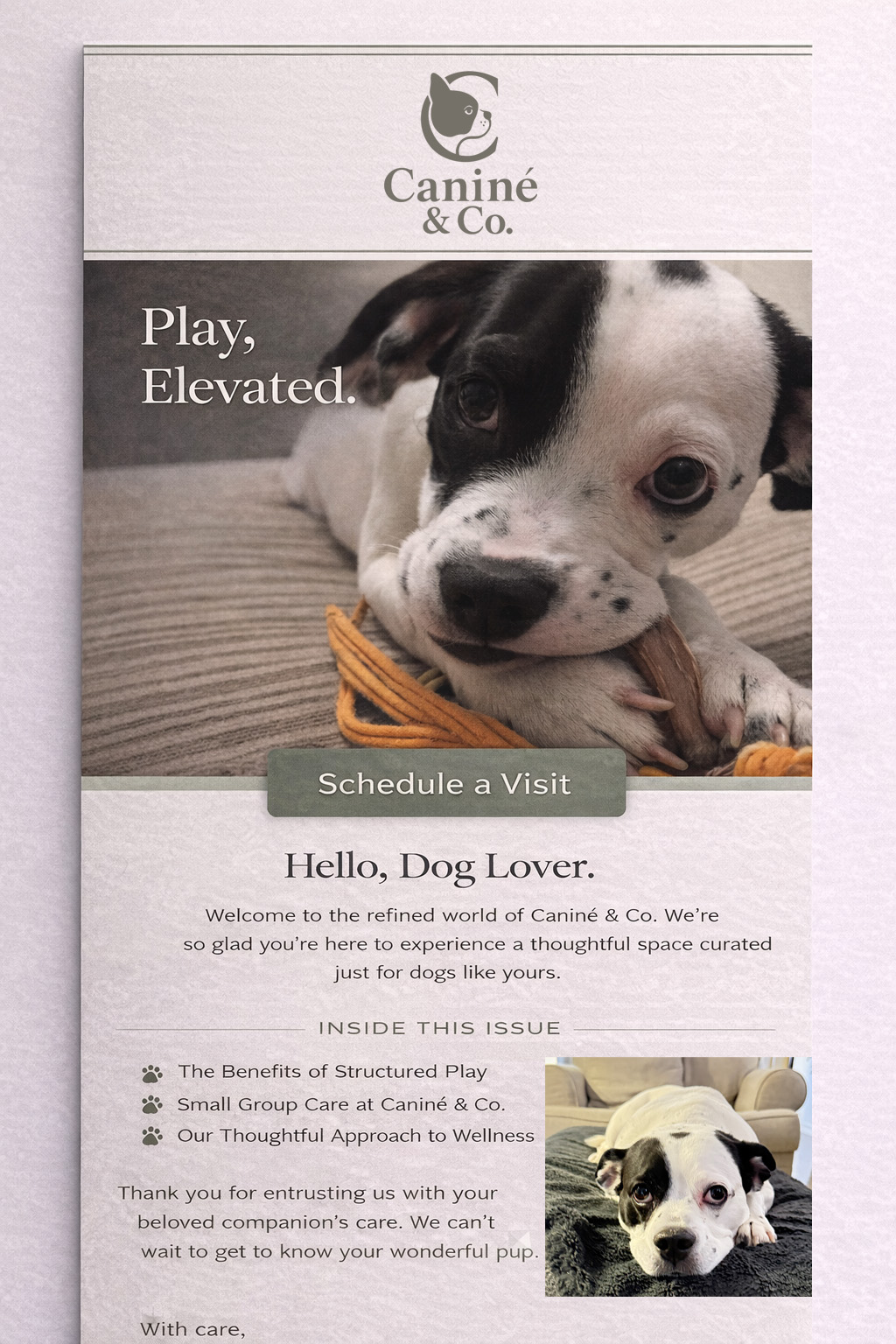 Newsletter concept