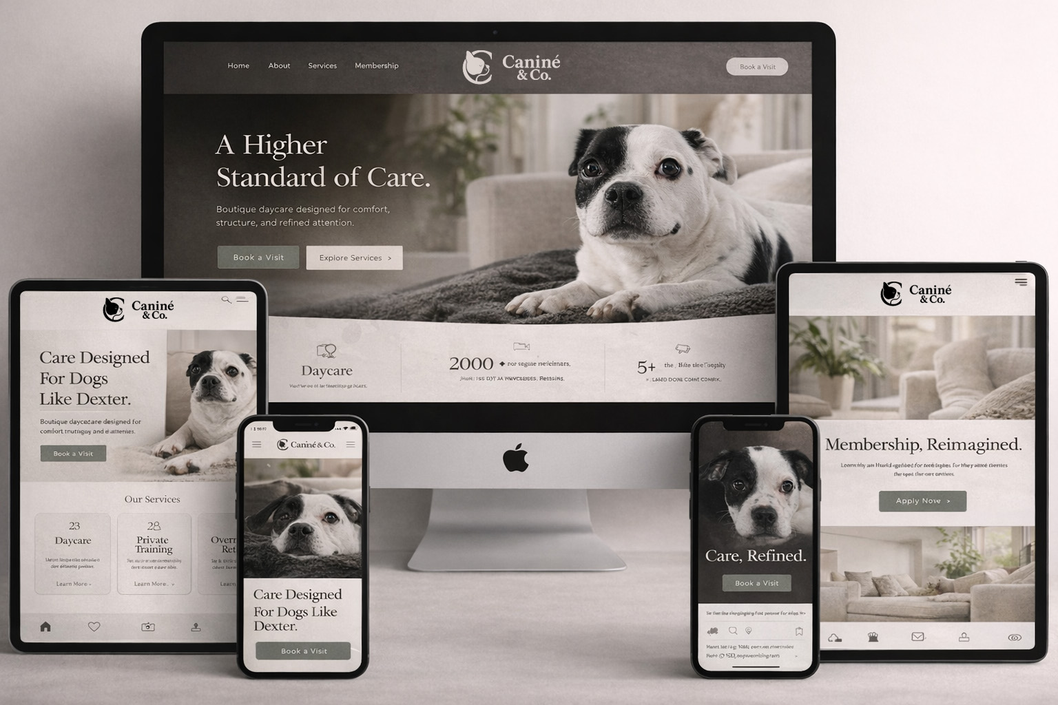 Website concept